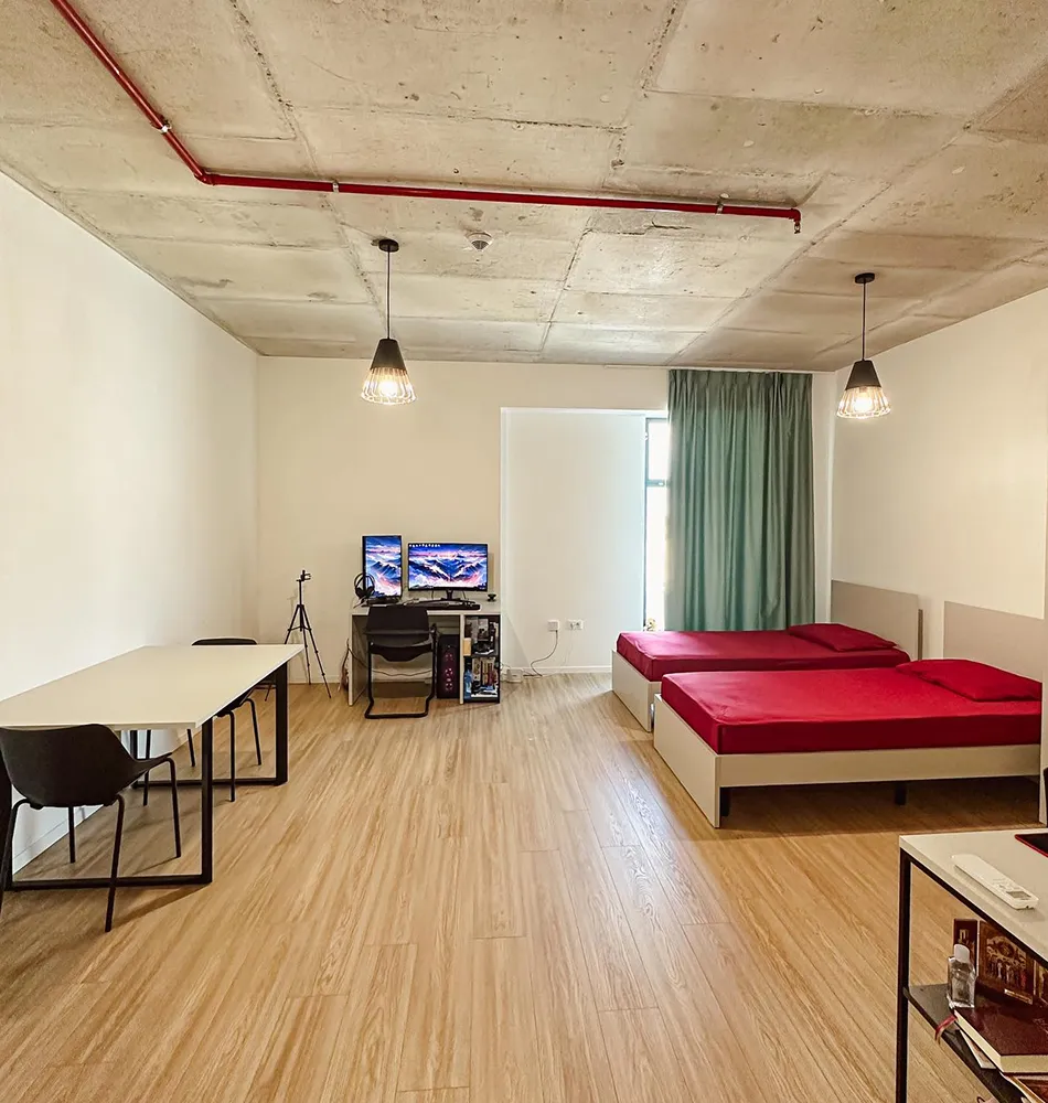 Big Studio Apartment